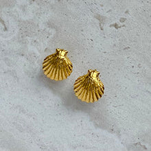 Beachy Shells Gold Studs