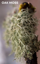 Onyx Roll-On Perfume Oil