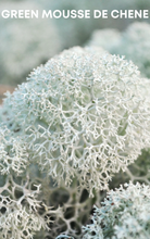 Pearl Roll-On Perfume Oil