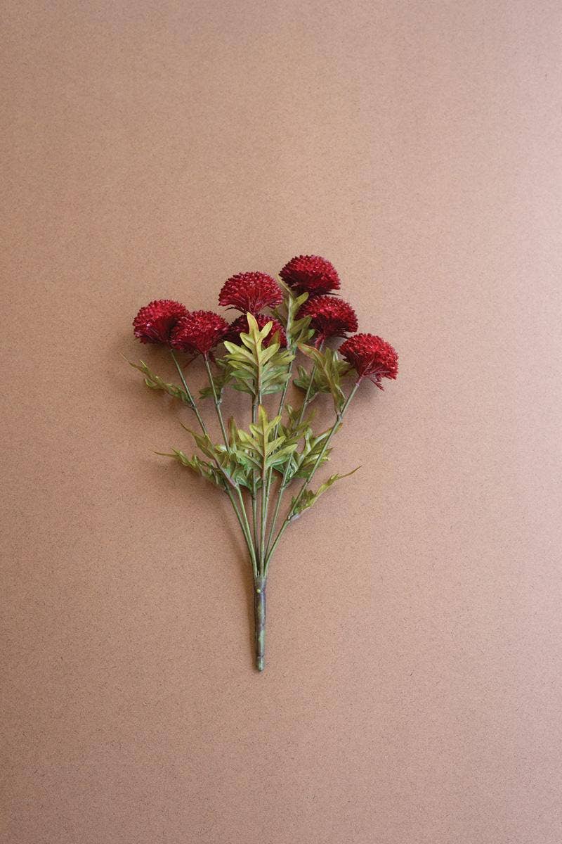 Red Dahlia Bundle