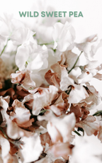 Sage Roll-On Perfume Oil