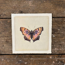 Pink Butterfly Print