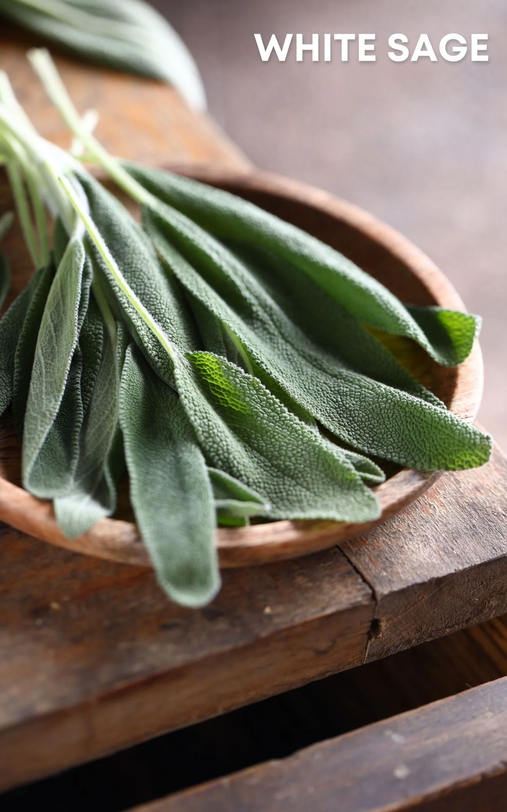 Sage Roll-On Perfume Oil