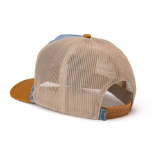Branded Blue / Tan Snapback
