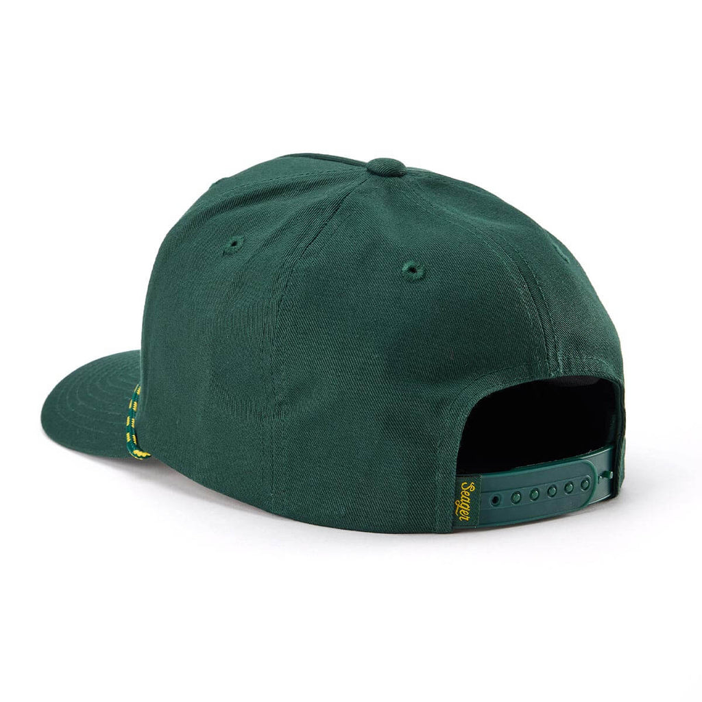 Longhorn Forest Snapback