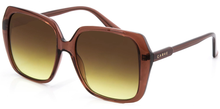 Ebony Dark Brown Sunglasses