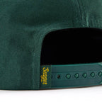 Longhorn Forest Snapback