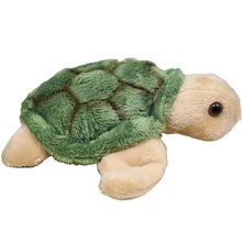 Canned Turtle