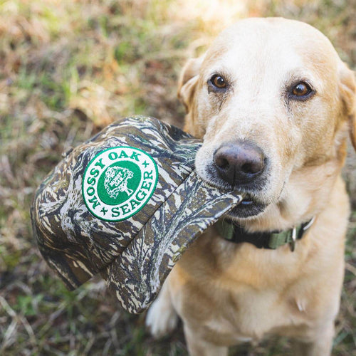 Seager x Mossy Oak Treestand Camo Snapback