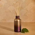 Apple Oud Tuscan Radiance Reed Diffuser
