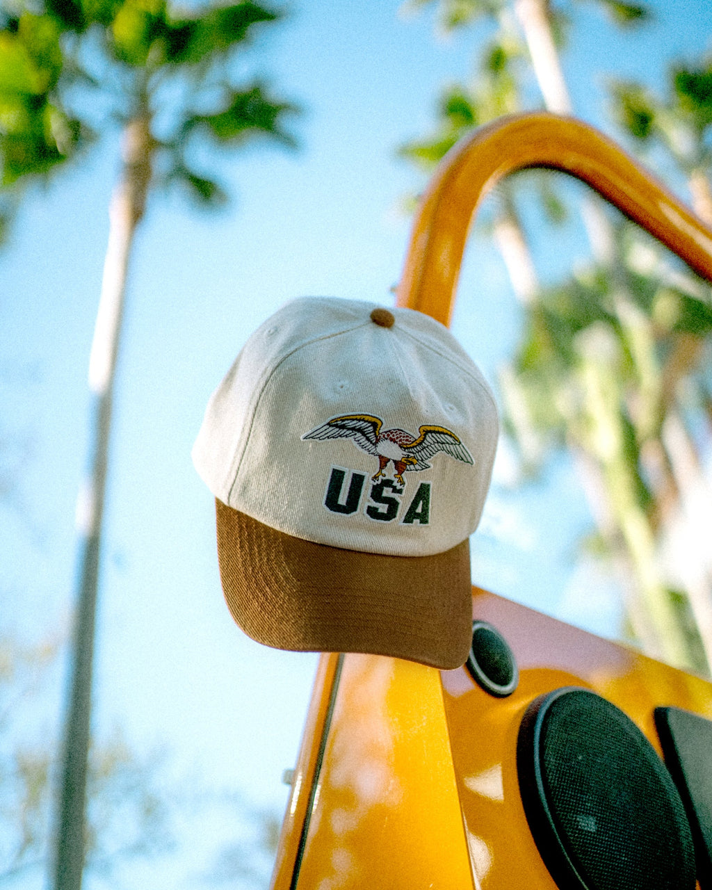 USA Baseball Hat
