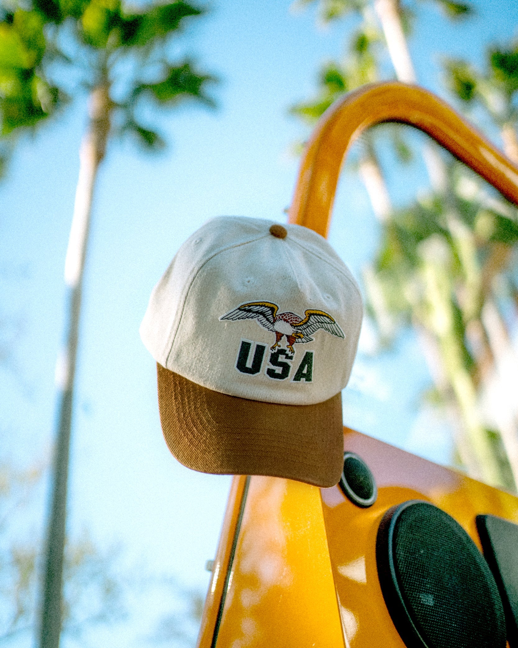 USA Baseball Hat