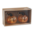 Pumpkin Salt & Pepper Shaker Set