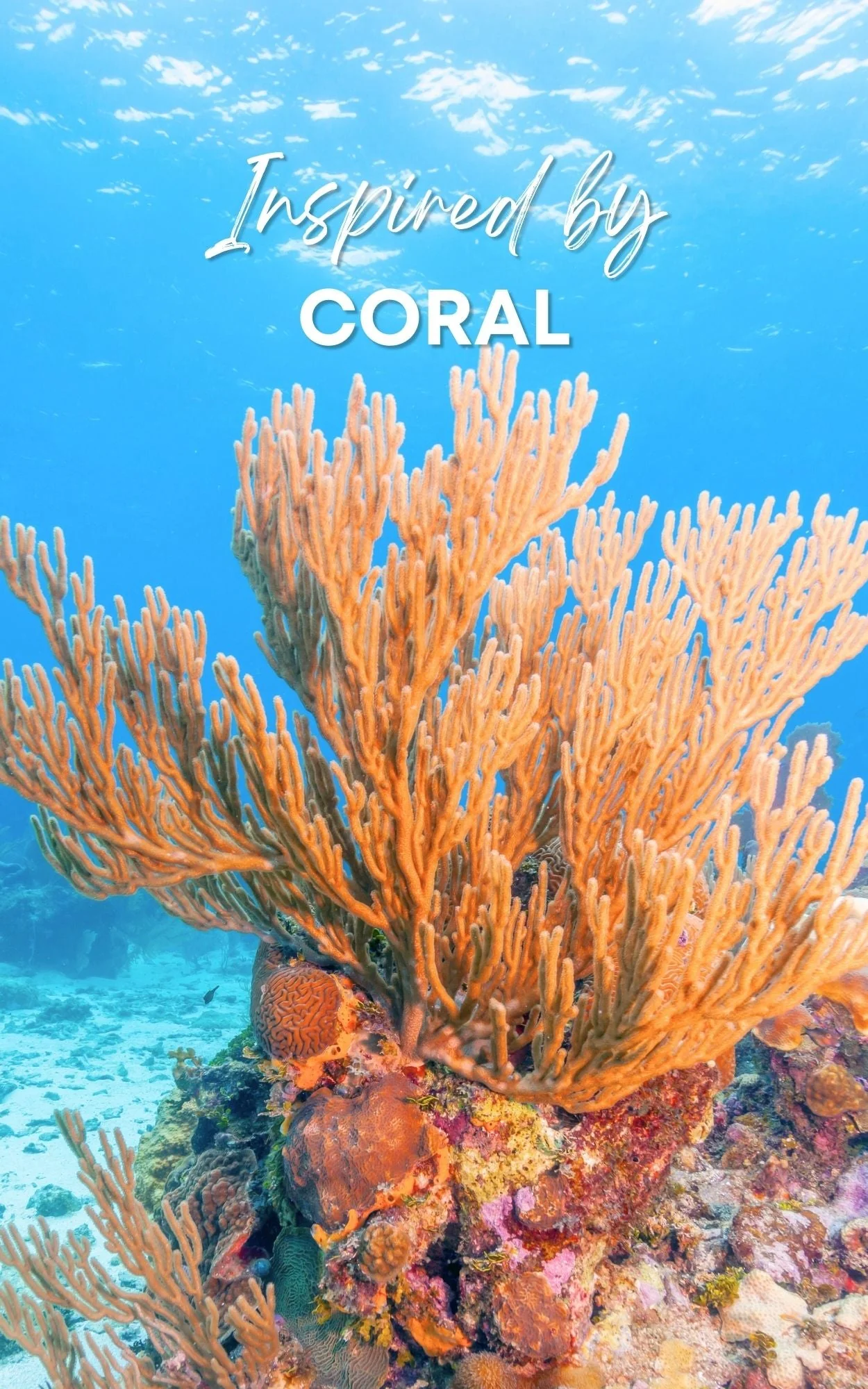 Coral Roll-On Perfume Oil