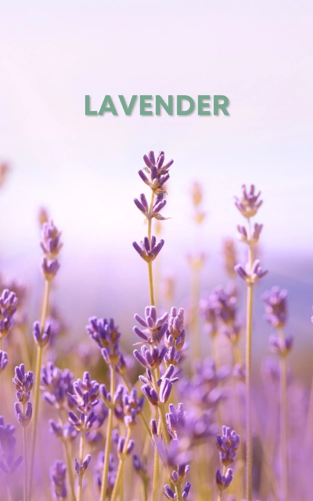 Amethyst Roll-On Perfume Oil