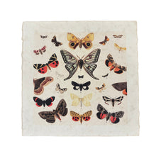 Dancing Butterflies Print