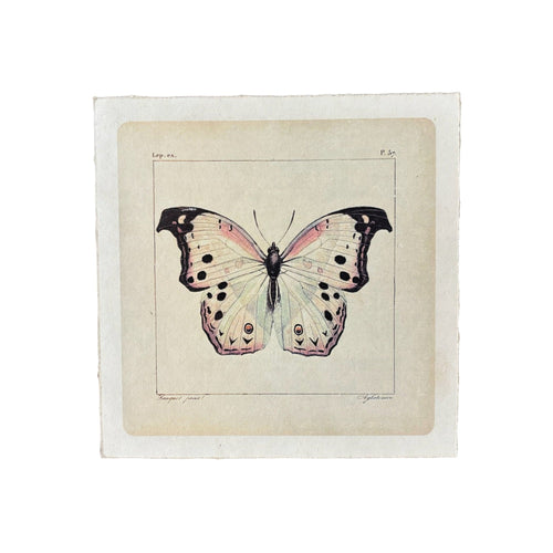 White Butterfly Print