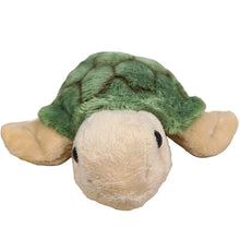 Canned Turtle