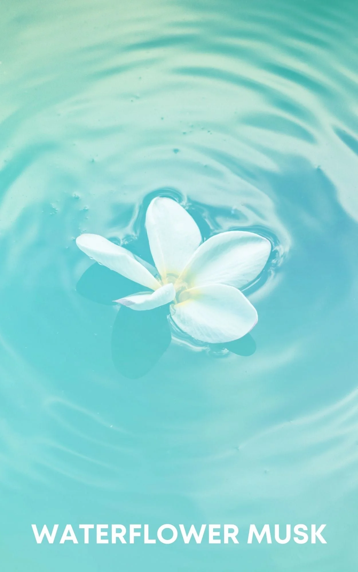 Turquoise Roll-On Perfume Oil