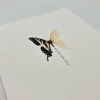 Sentiment Card