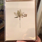 Sentiment Card