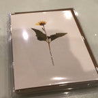 Sentiment Card
